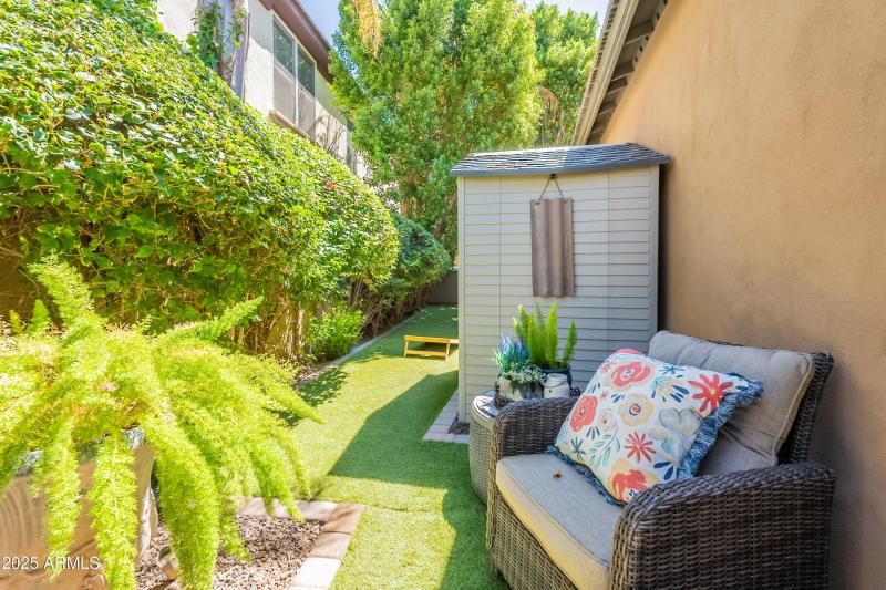 Side Yard with turf