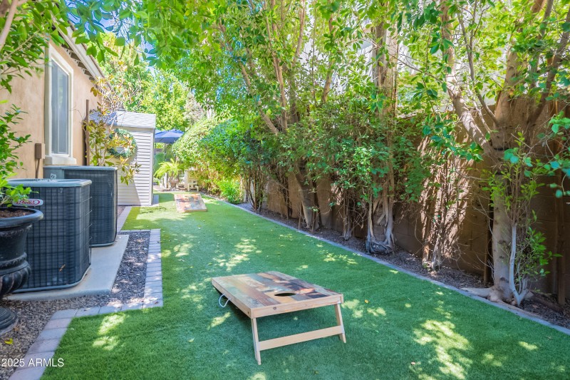 Side Yard with turf