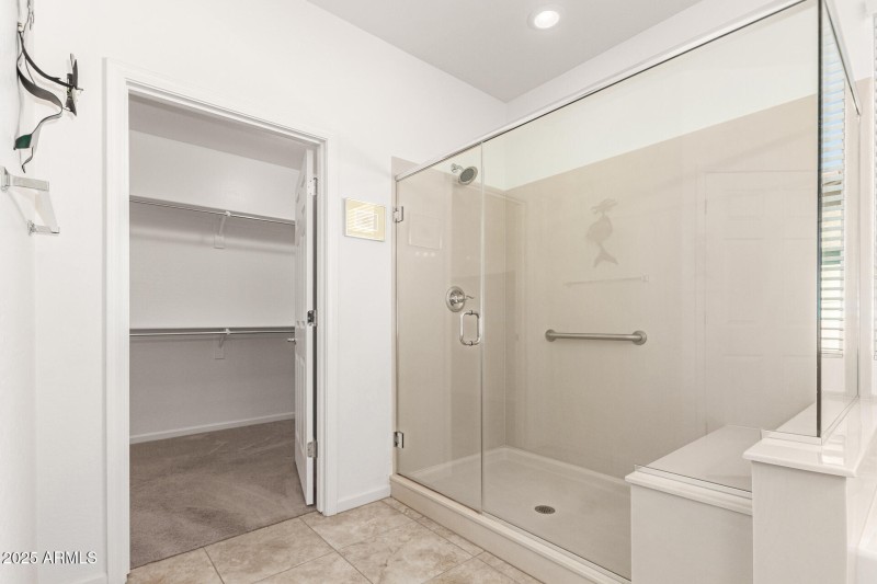 Primary Shower