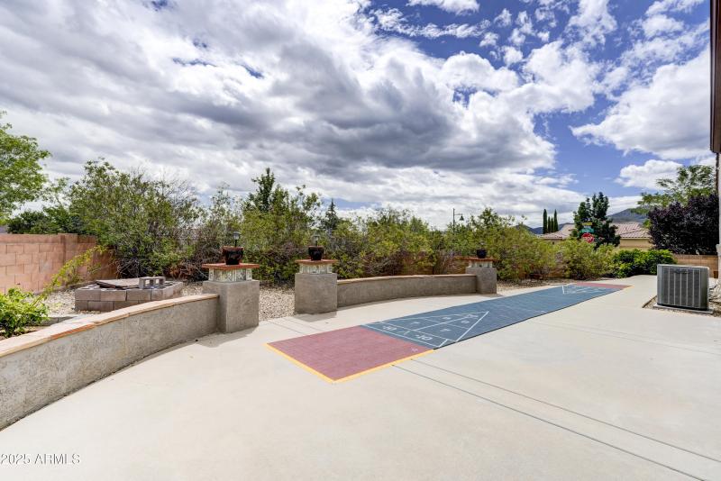 Back Yard 1