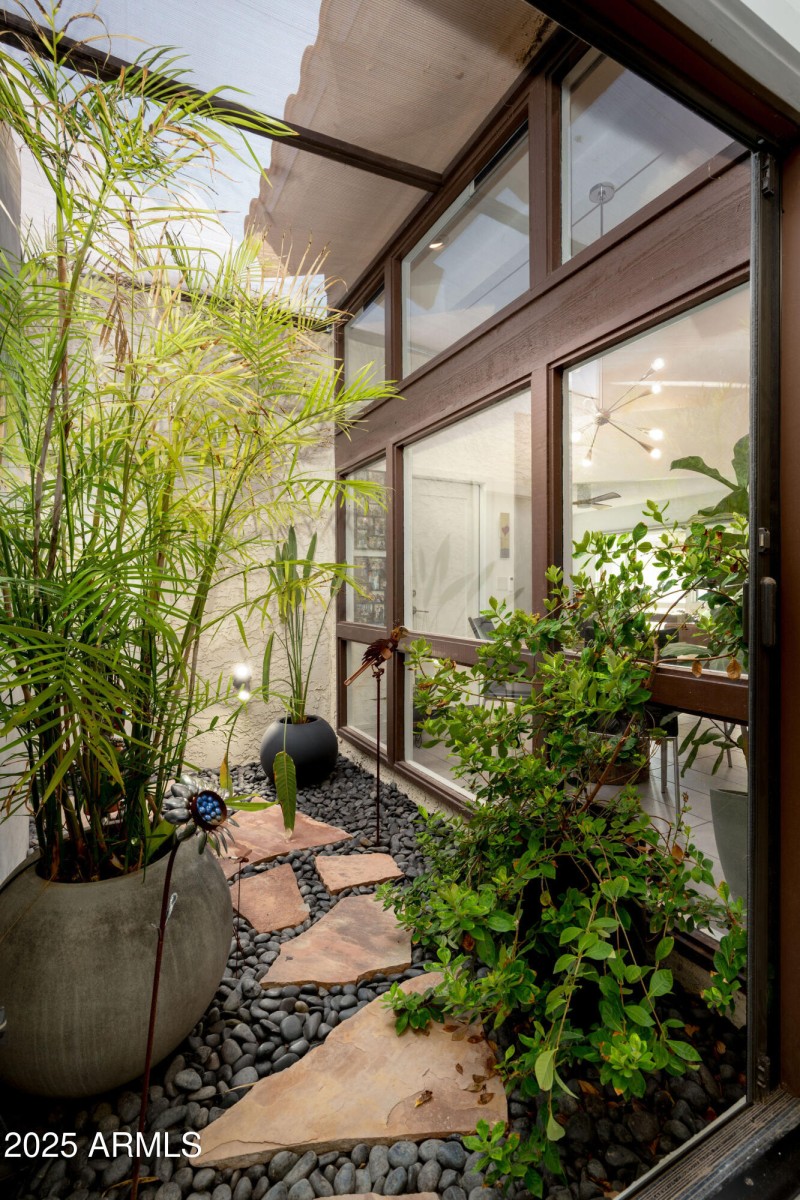 Plant Lovers Dream