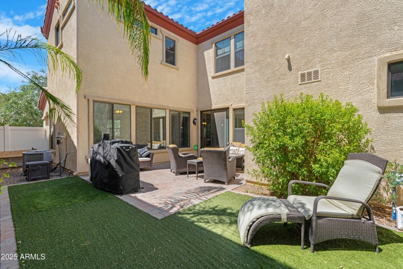 Backyard 1