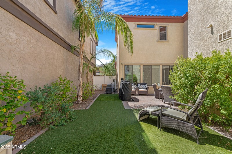Backyard 2