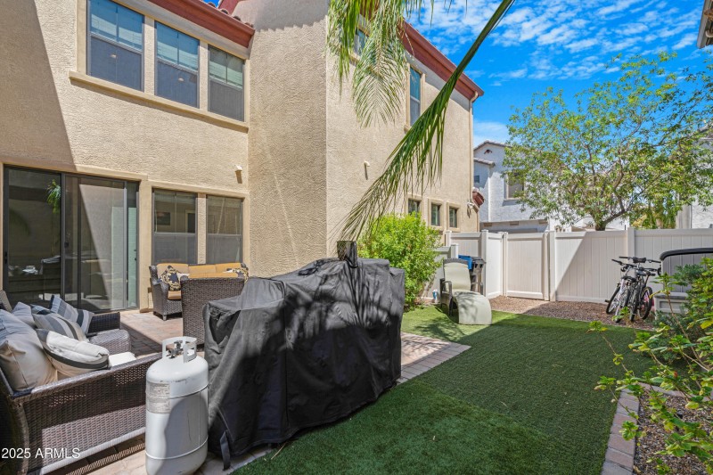 Backyard 3