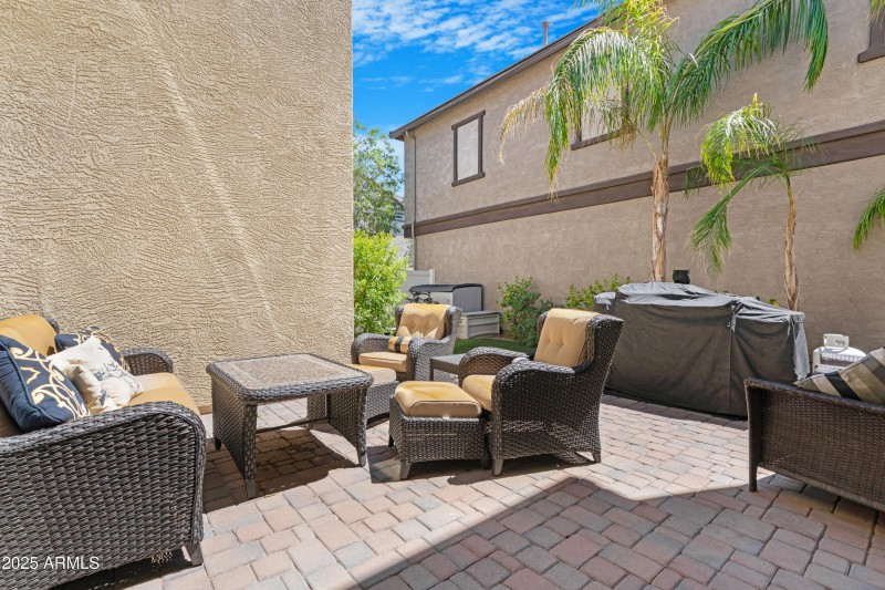 Backyard 5