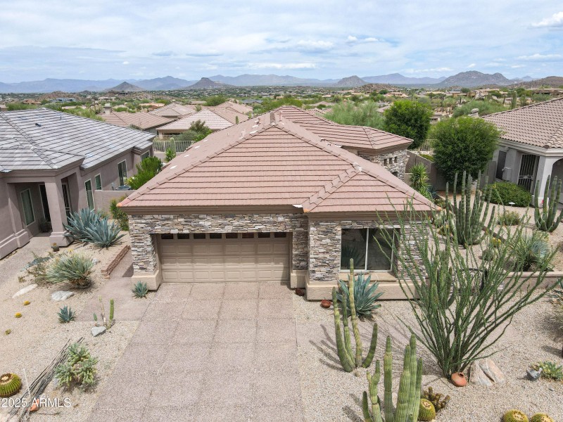 11582 christmas cholla drone-2