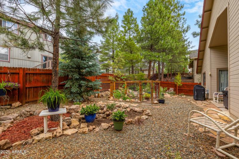 Rear Yard
