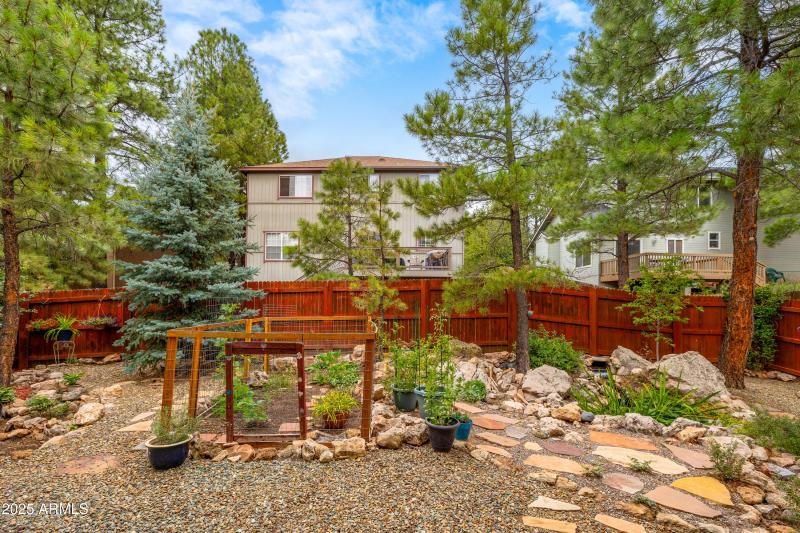 Rear Yard