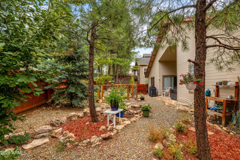 Rear Yard