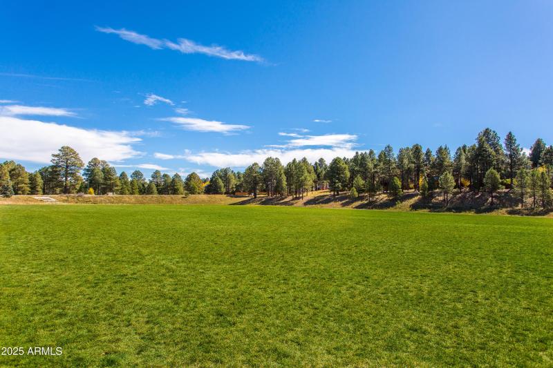 Ponderosa Park