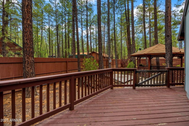 6367ChristmasTreeCir-Pinetop-AZ-23