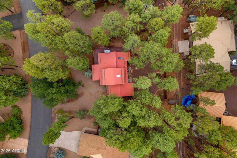 6367ChristmasTreeCir-Pinetop-AZ-29