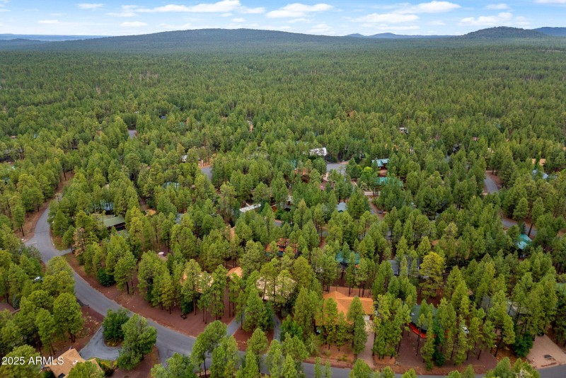 6367ChristmasTreeCir-Pinetop-AZ-30