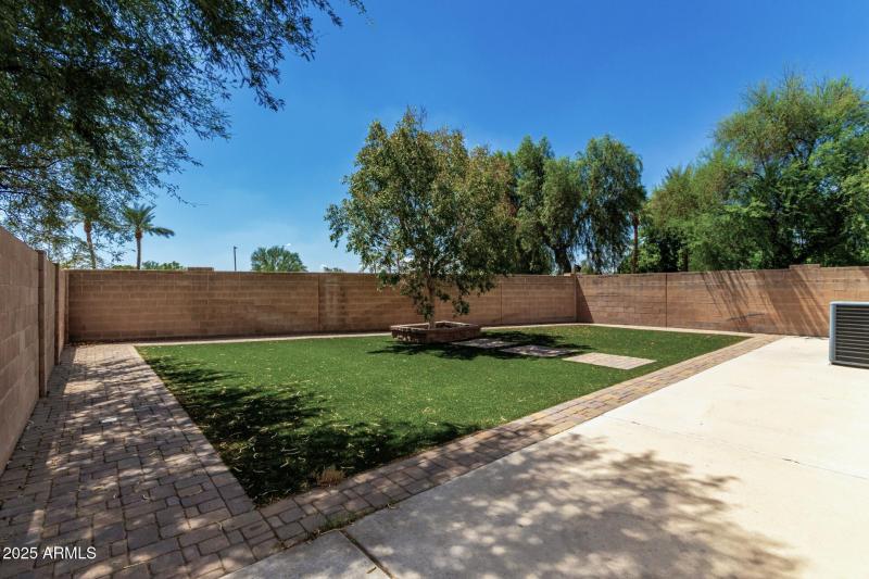 Wonderful low maintenance yard