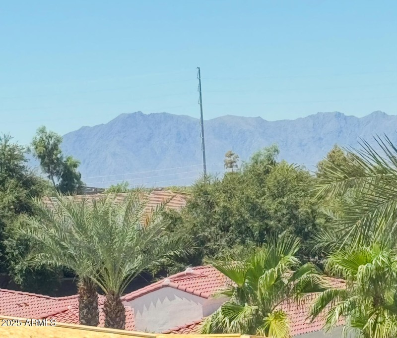 MOUNTAIN VIEWS