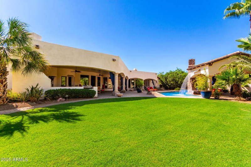 Grassy Backyard