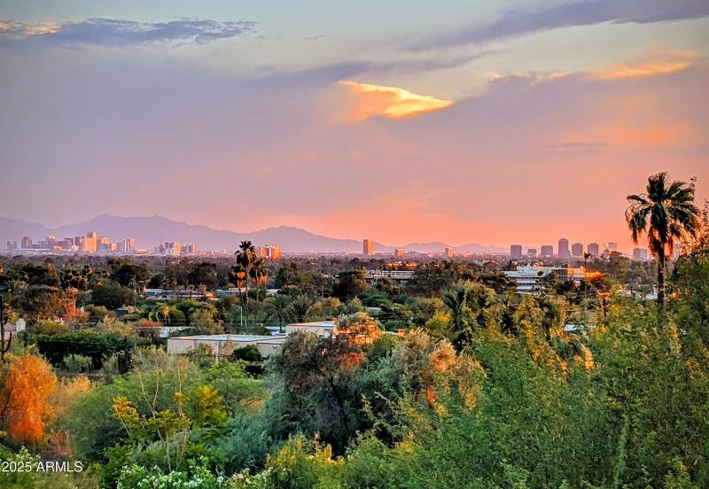 Primary Suite Patio View