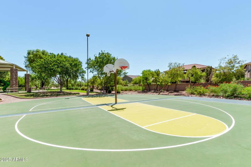 Basketball Hoops