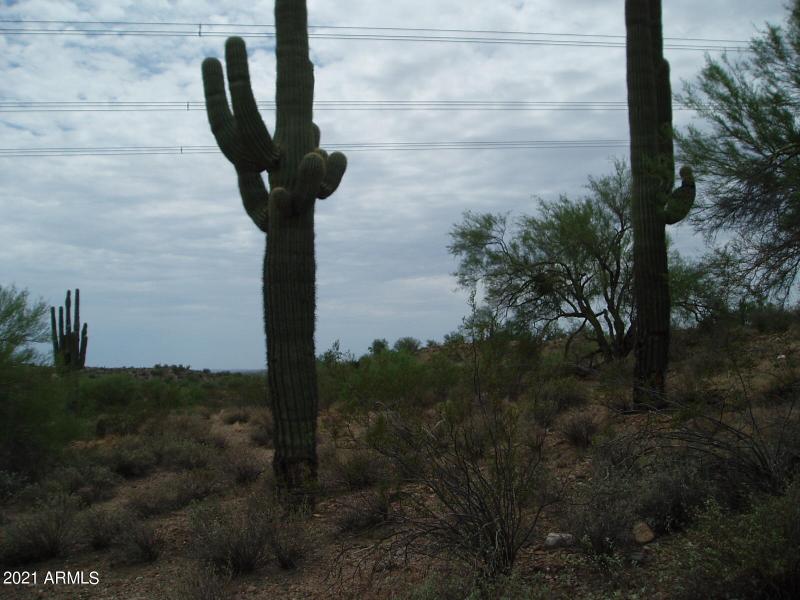 P8090004