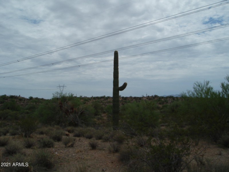 P8090005