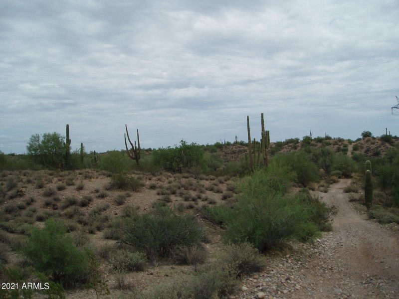 P8090006