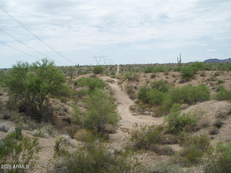 P8090009