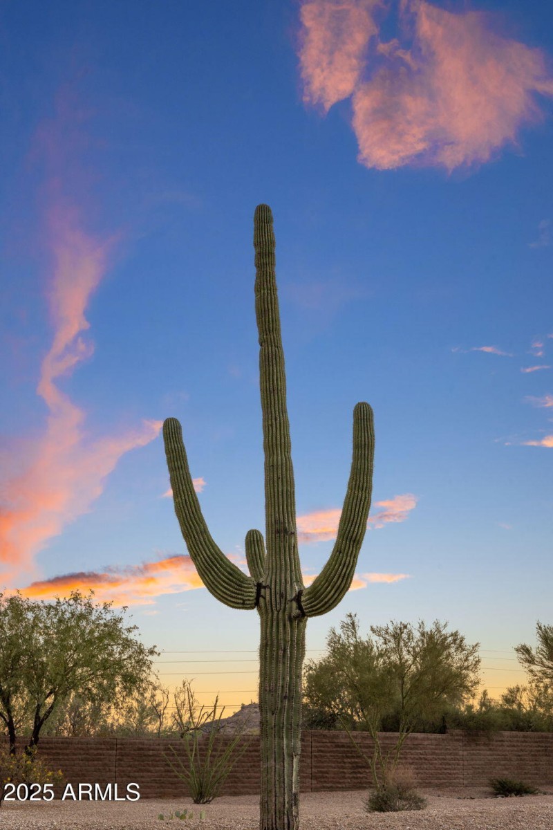 81-web-or-mls-IMG_1517