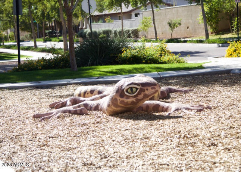 Verrado_ParkLizard