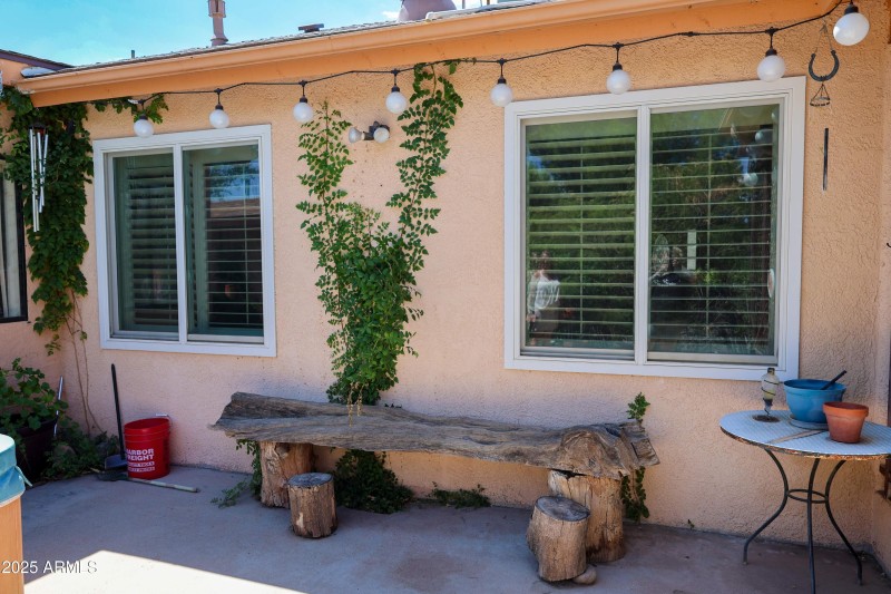 Back yard
