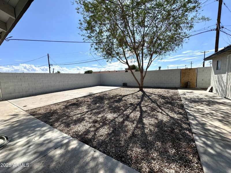 Backyard 1