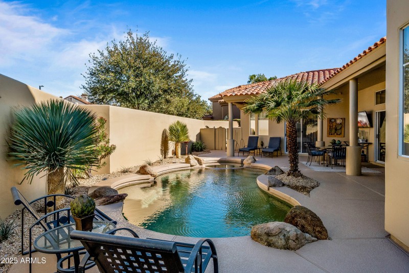 Backyard Oasis