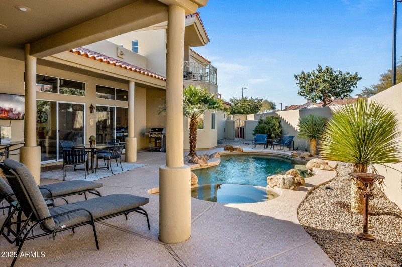 Backyard Oasis
