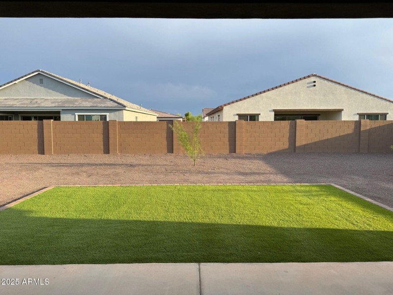 Back yard