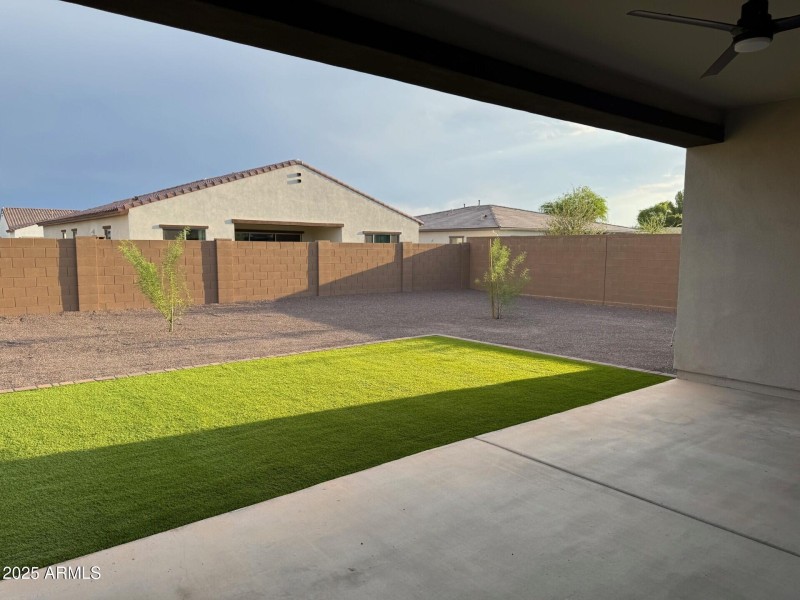Back yard