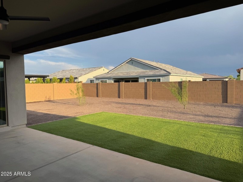Back yard