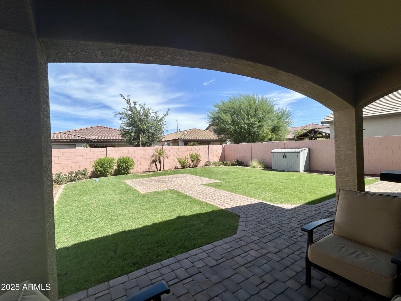 Backyard new sod