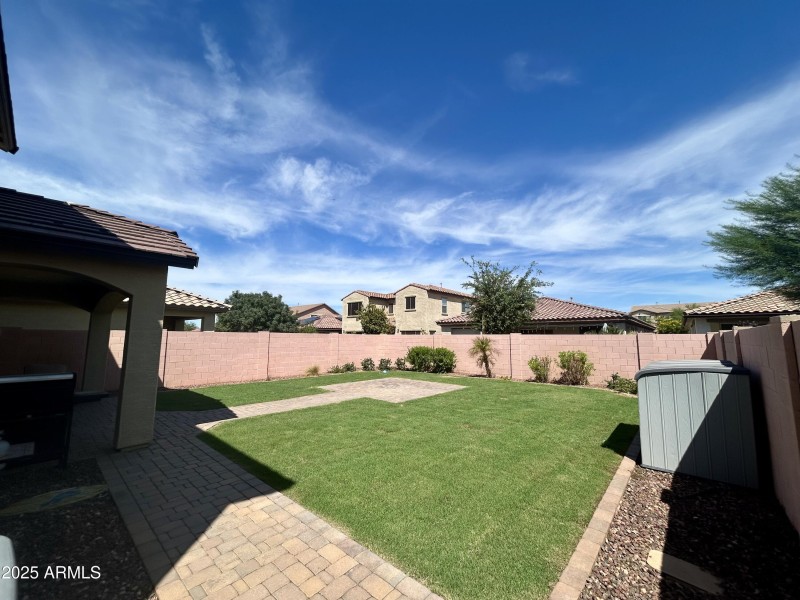 Backyard new sod 2