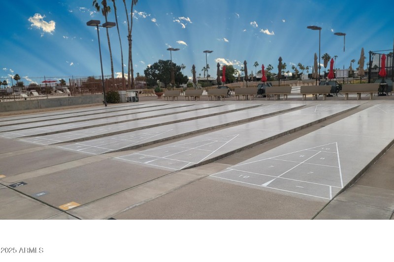 Shuffleboard