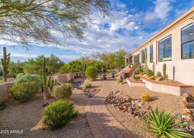 Enclosed Backyard