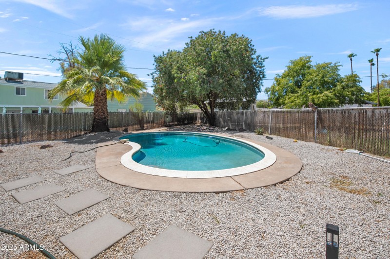 Back yard