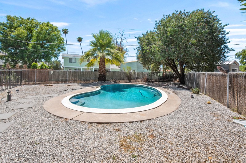 Back yard