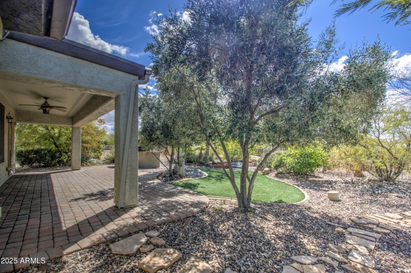 Patio and back yard