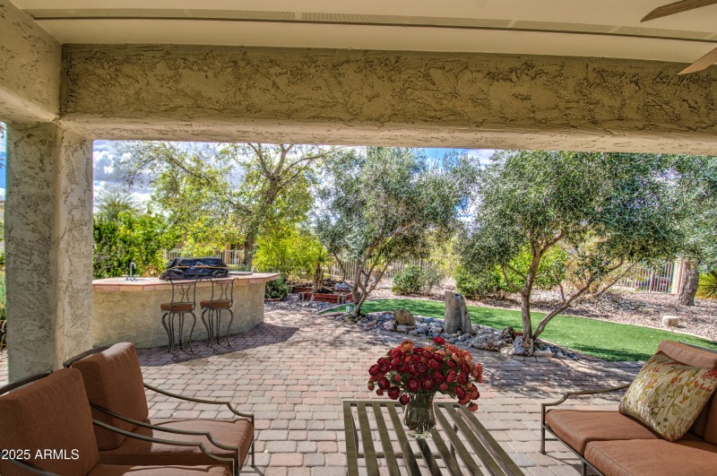 Back Patio