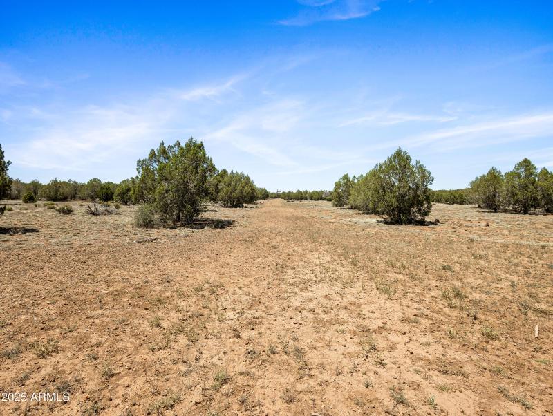 625 W Arrow Wash Tr-35