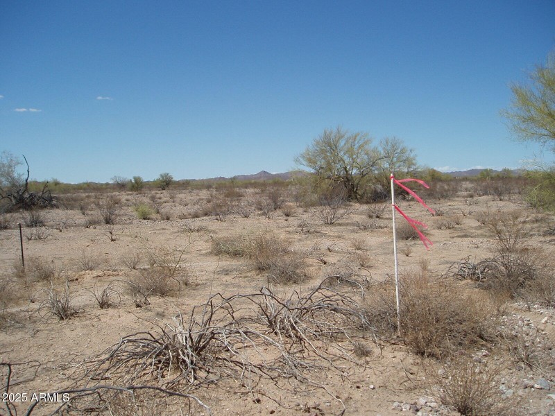 P8300004