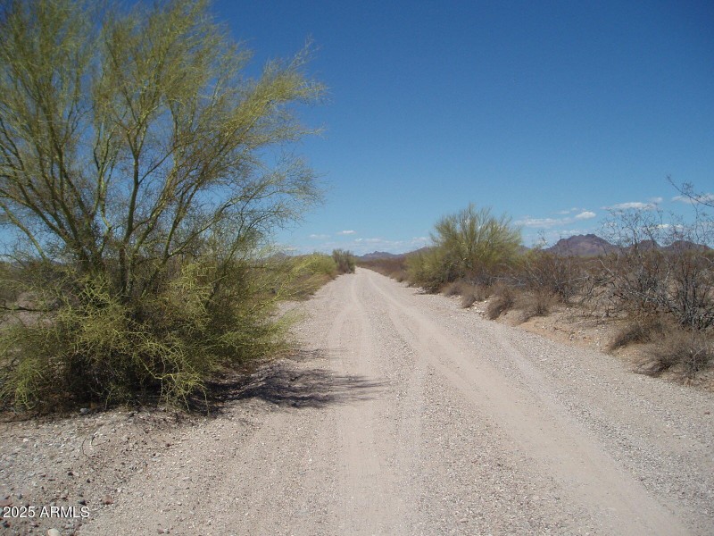 P8300007