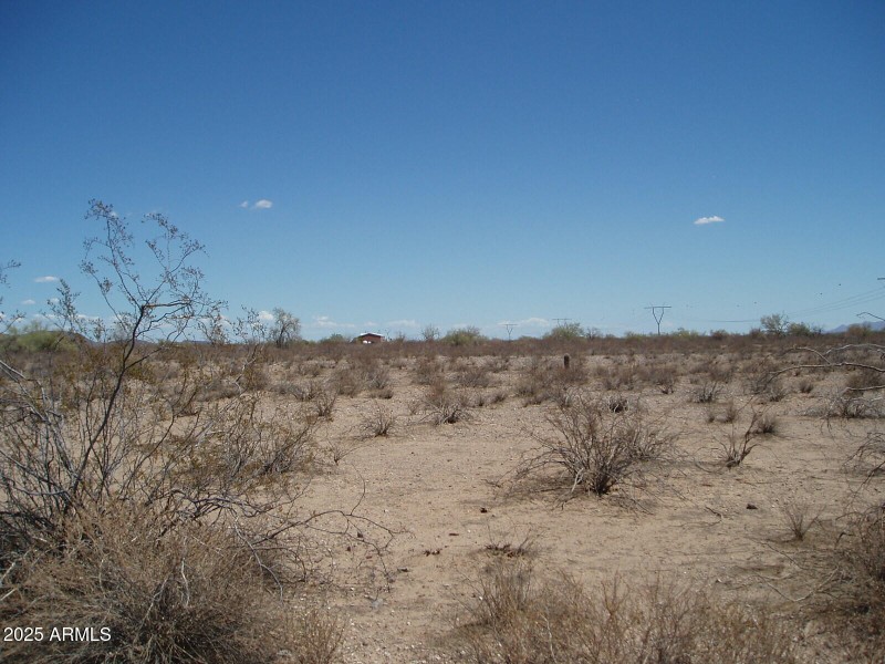 P8300010