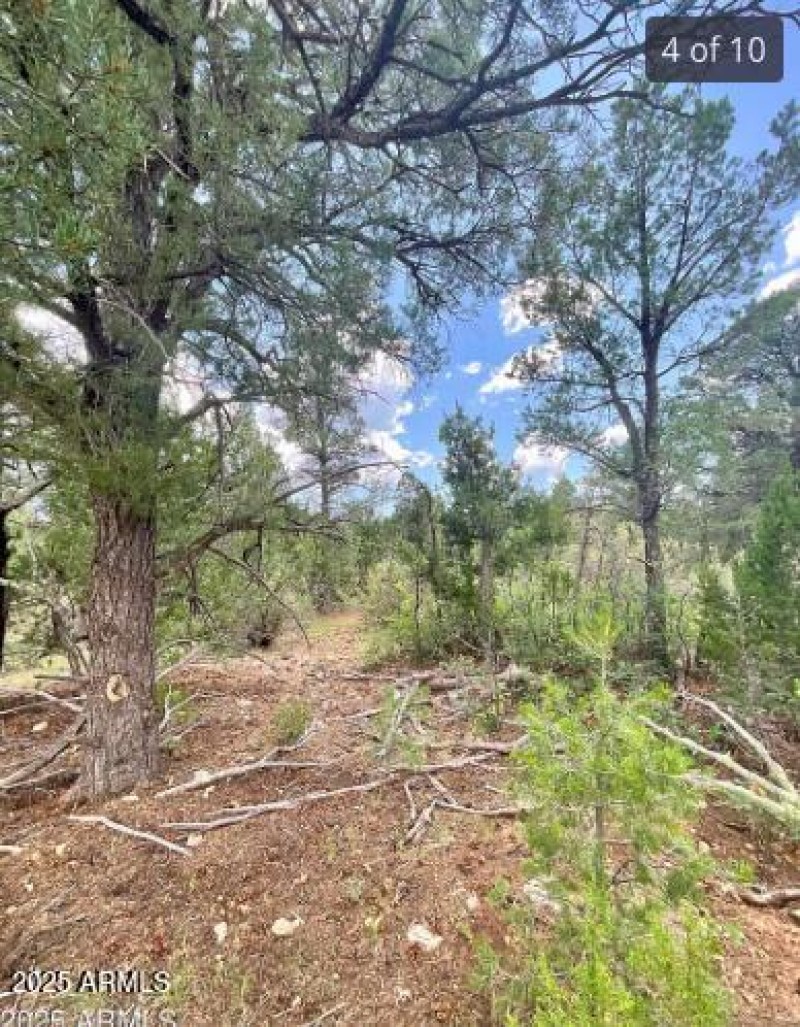 Happy Jack-Mogollon Ranch-Real Estate Ad