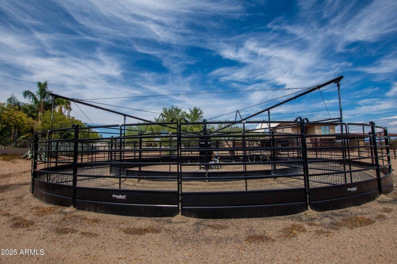 high end hot walker facility