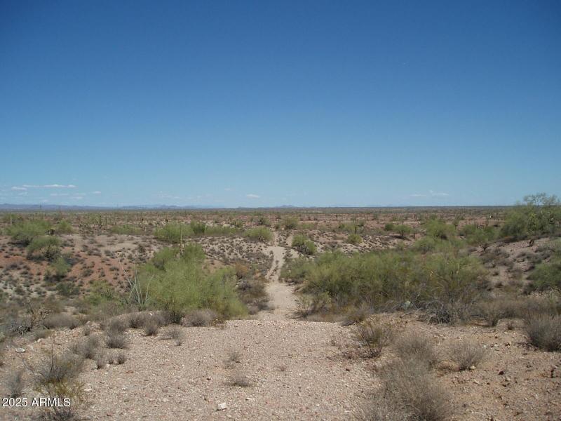 P8300018